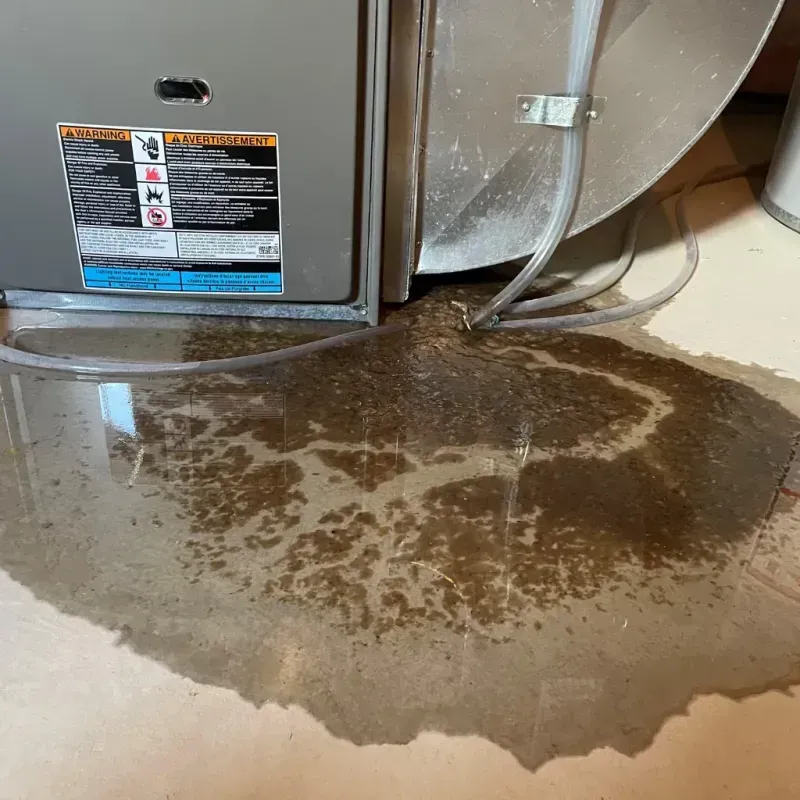 Appliance Leak Cleanup in Greenwood, IN